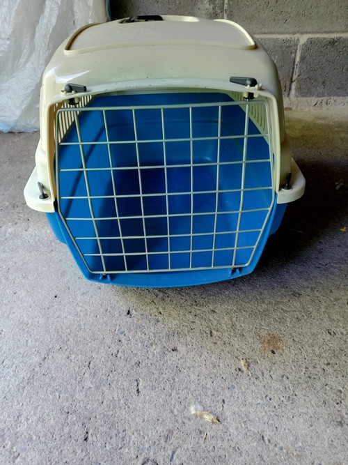 trasportino per gatto