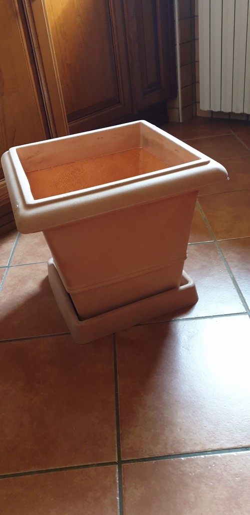 Vaso di plastica con sottovaso