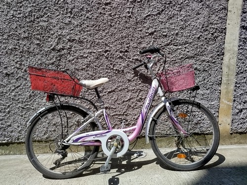 Bicicletta ragazza 